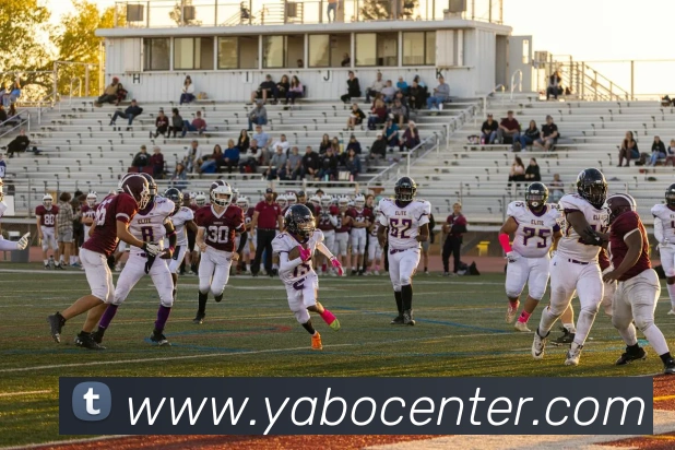 App Interface Preview