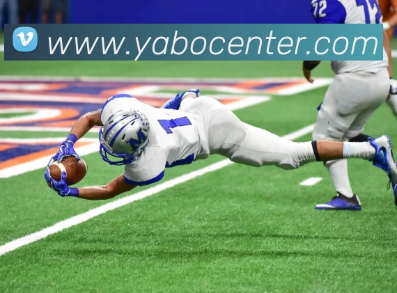 亚博体育APP 封面图