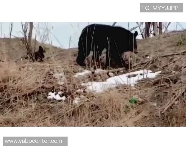 亚马尔母亲合照需先付800欧友人称其谦逊不喜张扬